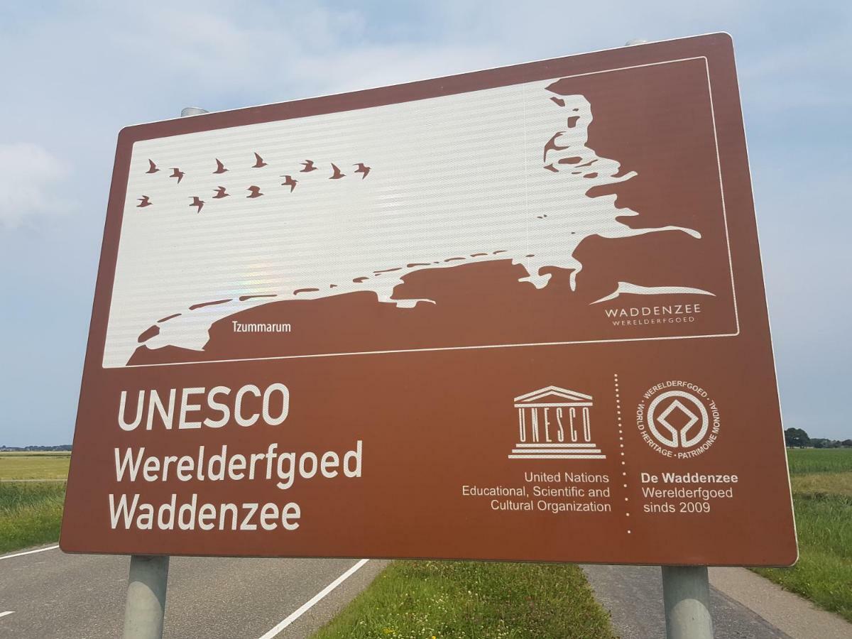 "Wattengebiet Entdeckungsreise" Tzummarum ภายนอก รูปภาพ