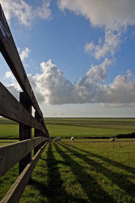 "Wattengebiet Entdeckungsreise" Tzummarum ภายนอก รูปภาพ